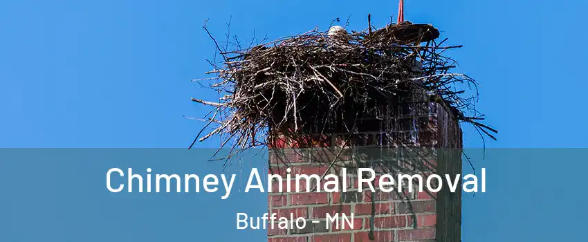  Chimney Animal Removal Buffalo - MN