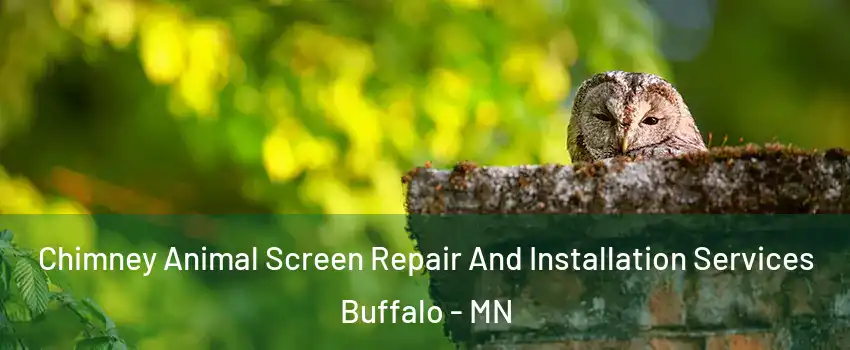  Chimney Animal Screen Repair And Installation Services Buffalo - MN