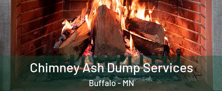  Chimney Ash Dump Services Buffalo - MN