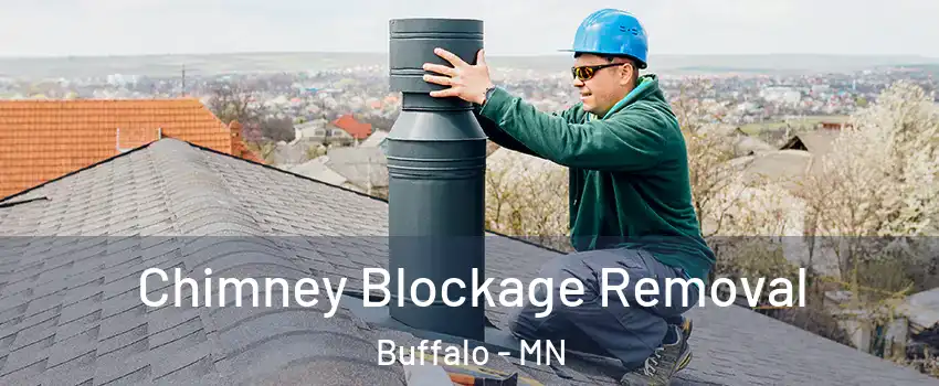  Chimney Blockage Removal Buffalo - MN