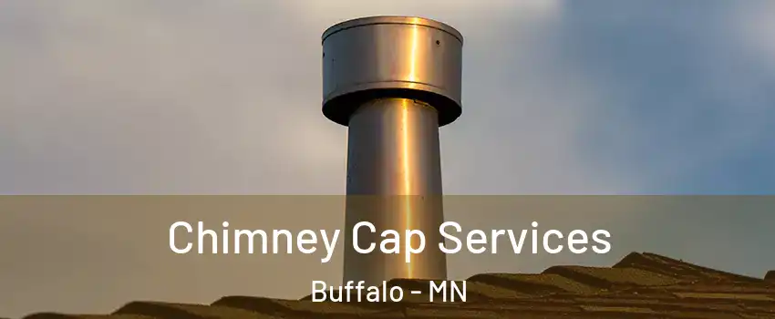  Chimney Cap Services Buffalo - MN