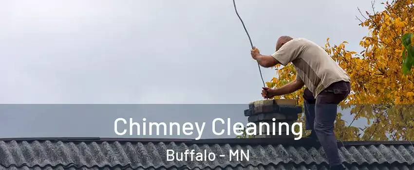  Chimney Cleaning Buffalo - MN