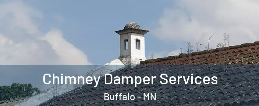  Chimney Damper Services Buffalo - MN