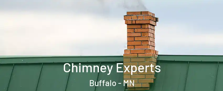 Chimney Experts Buffalo - MN