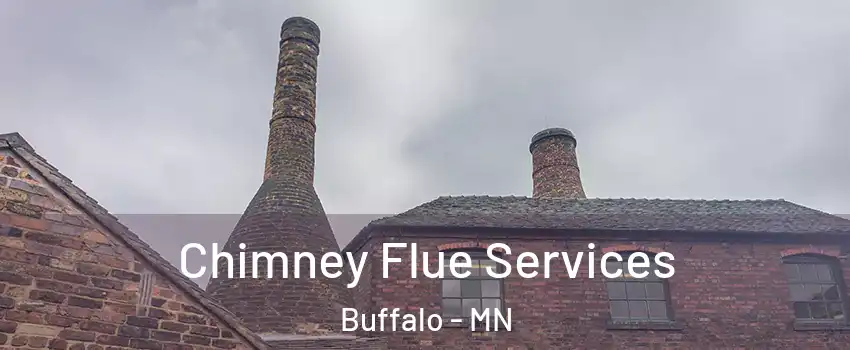  Chimney Flue Services Buffalo - MN