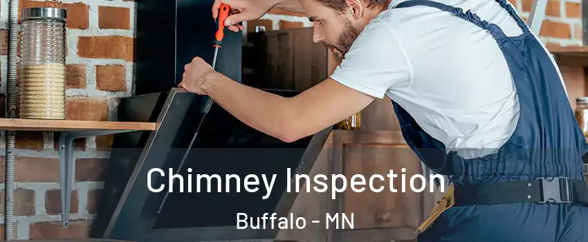  Chimney Inspection Buffalo - MN