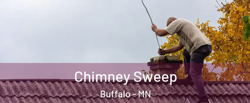 Chimney Sweep Buffalo - MN