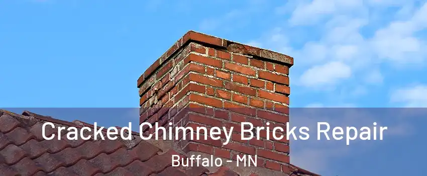  Cracked Chimney Bricks Repair Buffalo - MN