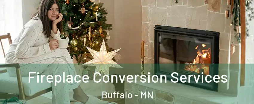  Fireplace Conversion Services Buffalo - MN