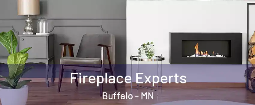  Fireplace Experts Buffalo - MN