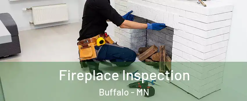  Fireplace Inspection Buffalo - MN