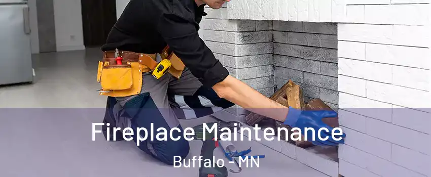  Fireplace Maintenance Buffalo - MN