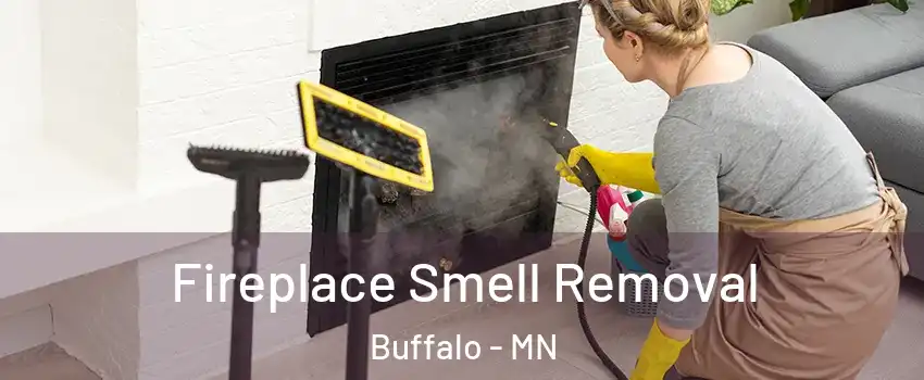  Fireplace Smell Removal Buffalo - MN
