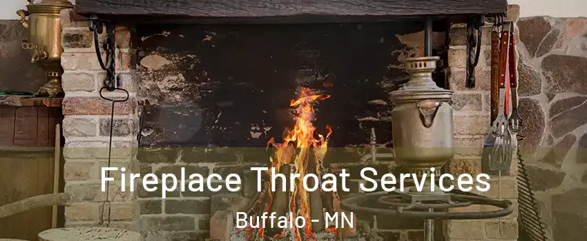  Fireplace Throat Services Buffalo - MN
