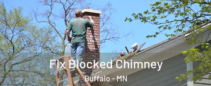  Fix Blocked Chimney Buffalo - MN