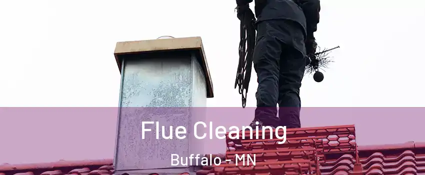  Flue Cleaning Buffalo - MN