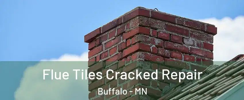  Flue Tiles Cracked Repair Buffalo - MN