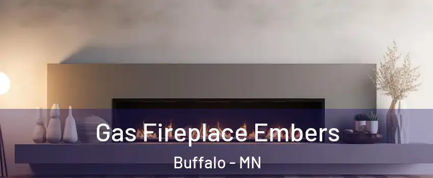  Gas Fireplace Embers Buffalo - MN