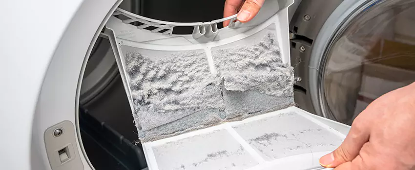 Best Dryer Lint Removal Company in Buffalo, Minnesota