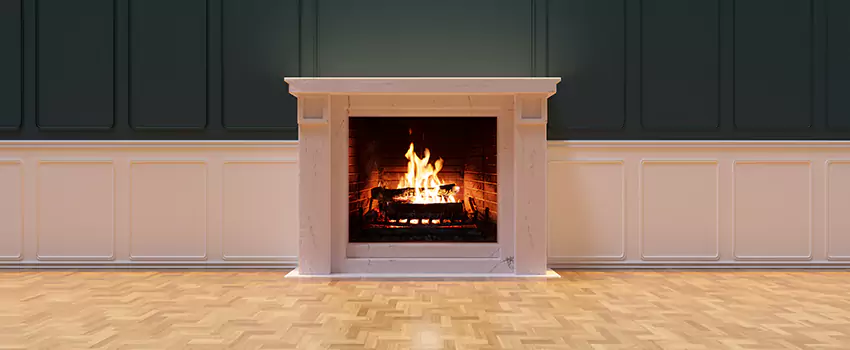 Napoleon Electric Fireplaces Inspection Service in Buffalo, Minnesota