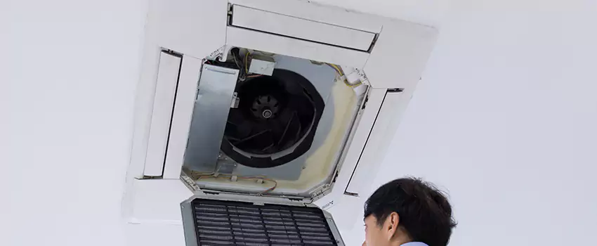Benefits of Professional Air Duct Cleaning in Buffalo, Minnesota