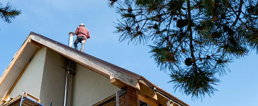 Birds Removal Contractors from Chimney in Buffalo, MN
