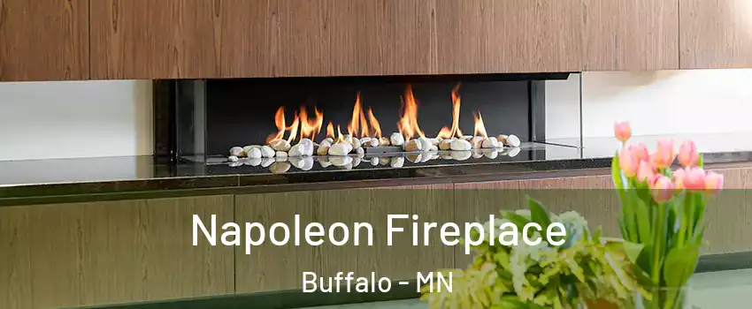  Napoleon Fireplace Buffalo - MN