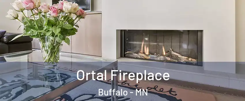 Ortal Fireplace Buffalo - MN