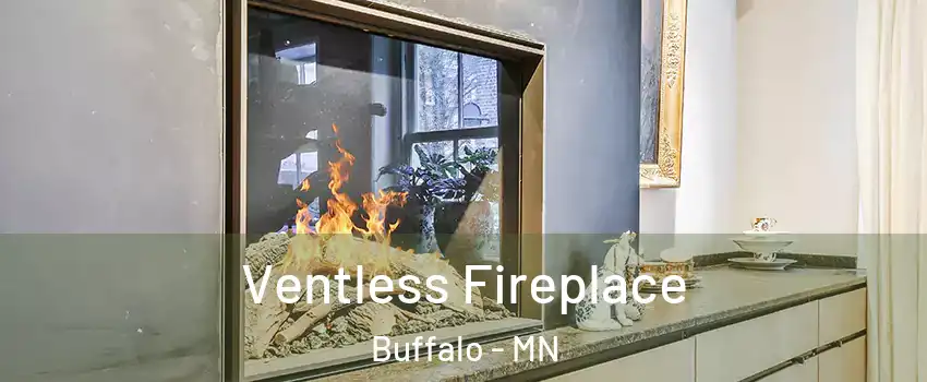  Ventless Fireplace Buffalo - MN
